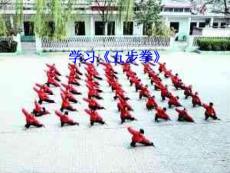 小学体育课件：《五步拳》