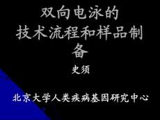 雙向電泳的技術流程和樣品制備