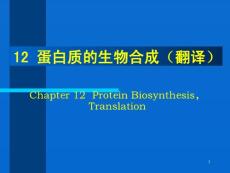蛋白质的生物合成