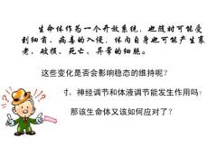 免疫调节课件
