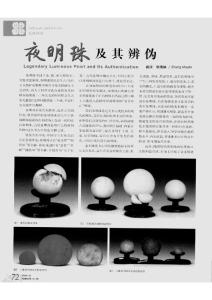 夜明珠及其辨偽