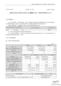 辰州矿业：2010年第三季度报告正文