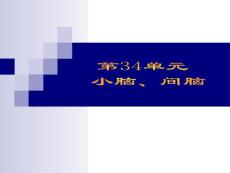 【解剖学课件】第34单元小脑、间脑