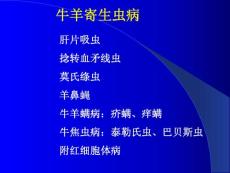 牛羊寄生虫病