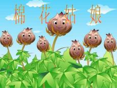 小学语文各单元课件-《棉花姑娘》