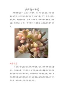 多肉澆水講究