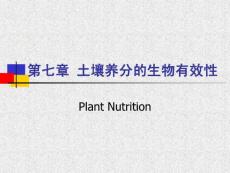 第七章 土壤养分的生物有效性