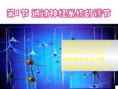 4490kj_人教版生物必修3 2.1《通過神經系統的調節》課件ppt