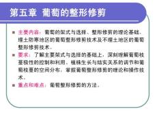 第五章葡萄的整形与修剪