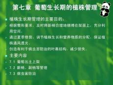 第七章葡萄生长季节的管理