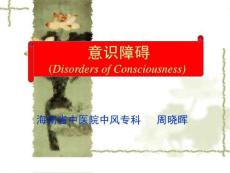 意识障碍分级