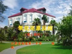 【化学课件】氧化还原反应(12)(3)