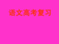 語文高考復(fù)習(xí)
