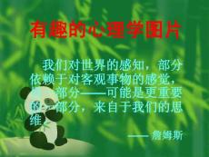 有趣的心理学图片
