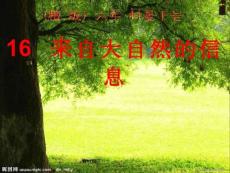 【精品课件】青岛版科学六下《来自大自然的信息》ppt课件7