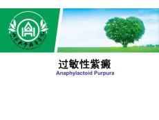过敏性紫癜课件