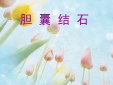 胆囊结石课件