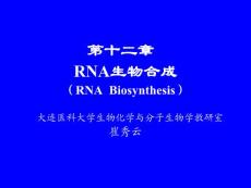 生物化学_第十二章_RNA的生物合成