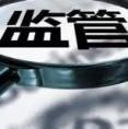 保险公司各类监管排查报告