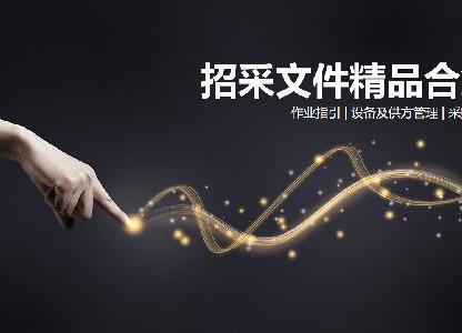 房地產(chǎn)招標(biāo)文件精品合集