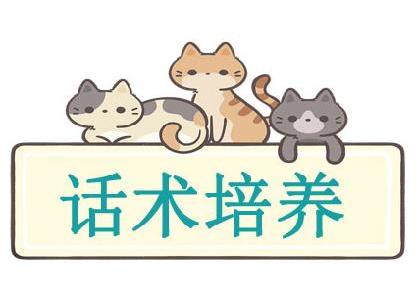 話術(shù)培養(yǎng)