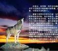 清溪飛揚
