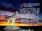 清溪飛揚