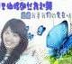 張琛