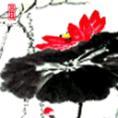 pingfan74
