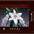粉紅妖姬