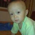 yaohailwj