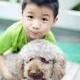 lubin_sh