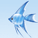 游泳的魚