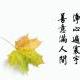 lee_wind