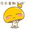 楊欽