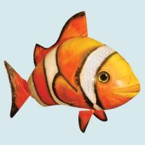 小丑魚00001