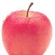 cosharefile