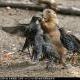 xiyucaotang