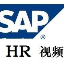 SAP HR专业指导