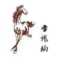 爾點(diǎn)y17
