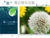 蒲公英和白菜
