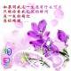 lwanxiu6