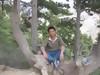 楊寶園