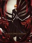 BLEACH555
