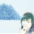 hehuo999