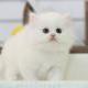 sunjunfu
