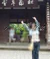 雷蕾