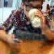 renren_233374206