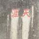 lsg635579