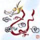 胡胡